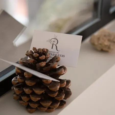 Apartment Rincon De Cantarranas Alhama de Aragón