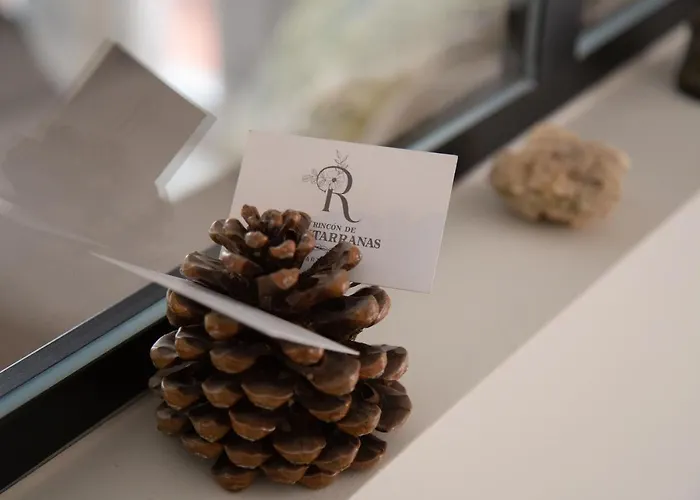 Lägenhet Rincon De Cantarranas Alhama de Aragón